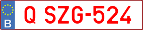 Trailer License Plate